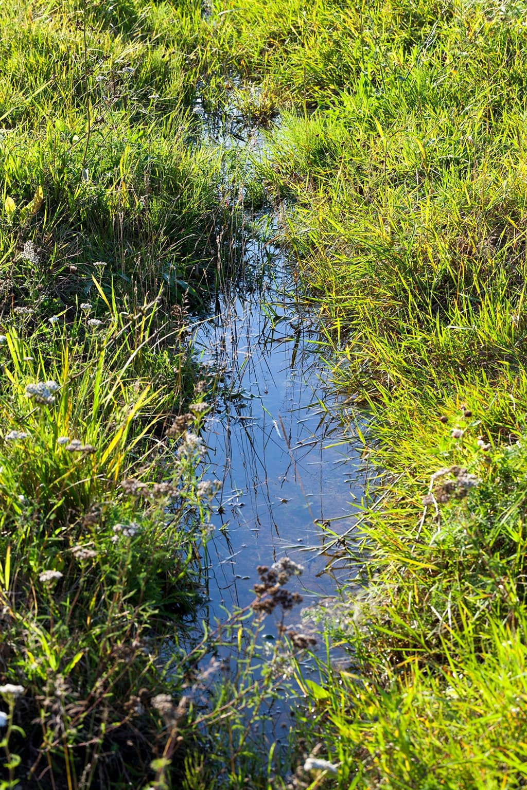 Need-A-Plumber--Best-Sewer-And-Drain-Pumping-Company-_-Denton,-TX