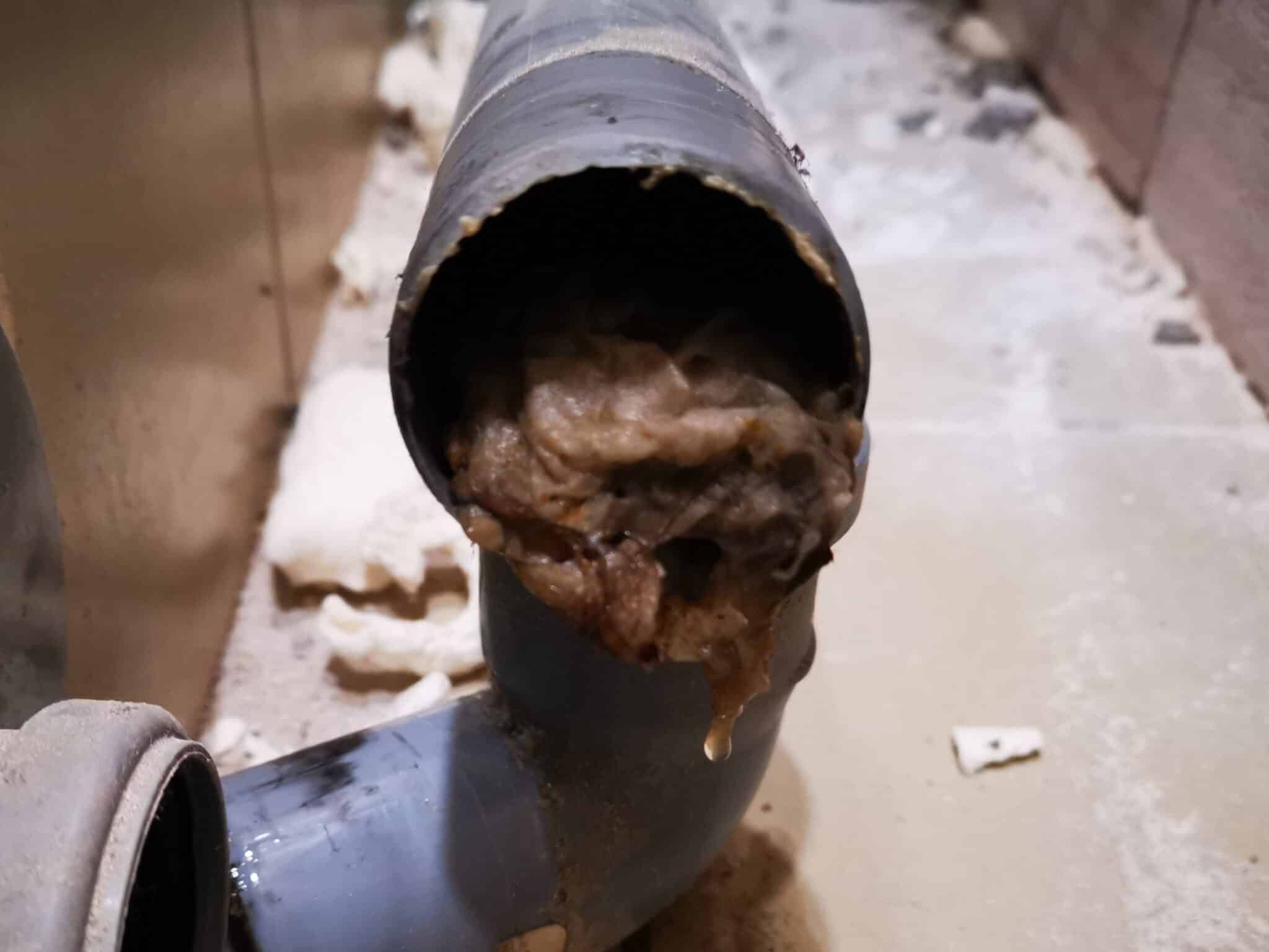 Sewer Line Clogs.