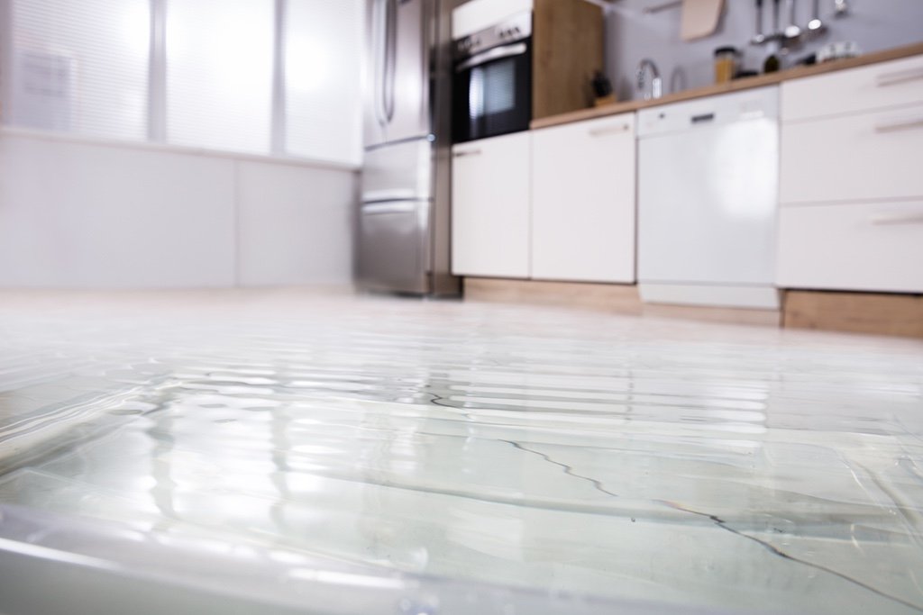 You-Need-an-Emergency-Plumber-and-Here’s-Why-_-Carrollton-TX-1024×683
