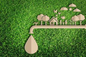 Rainwater Harvesting.