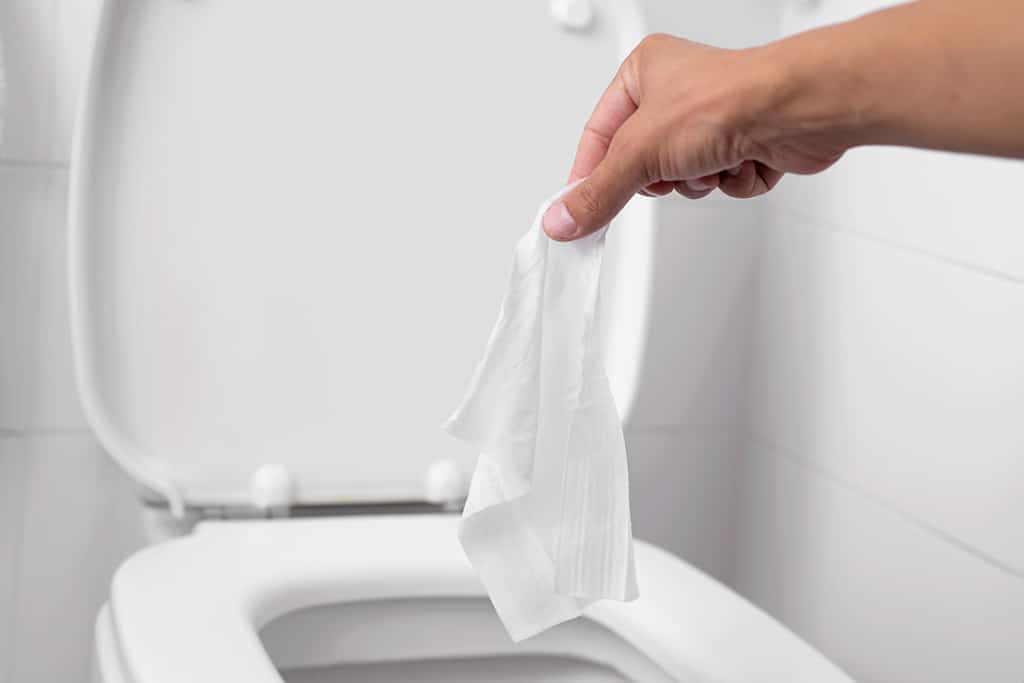 Drain Cleaning Tips: 5 Things That Should Never Go Down The Toilet | Richardson, TX