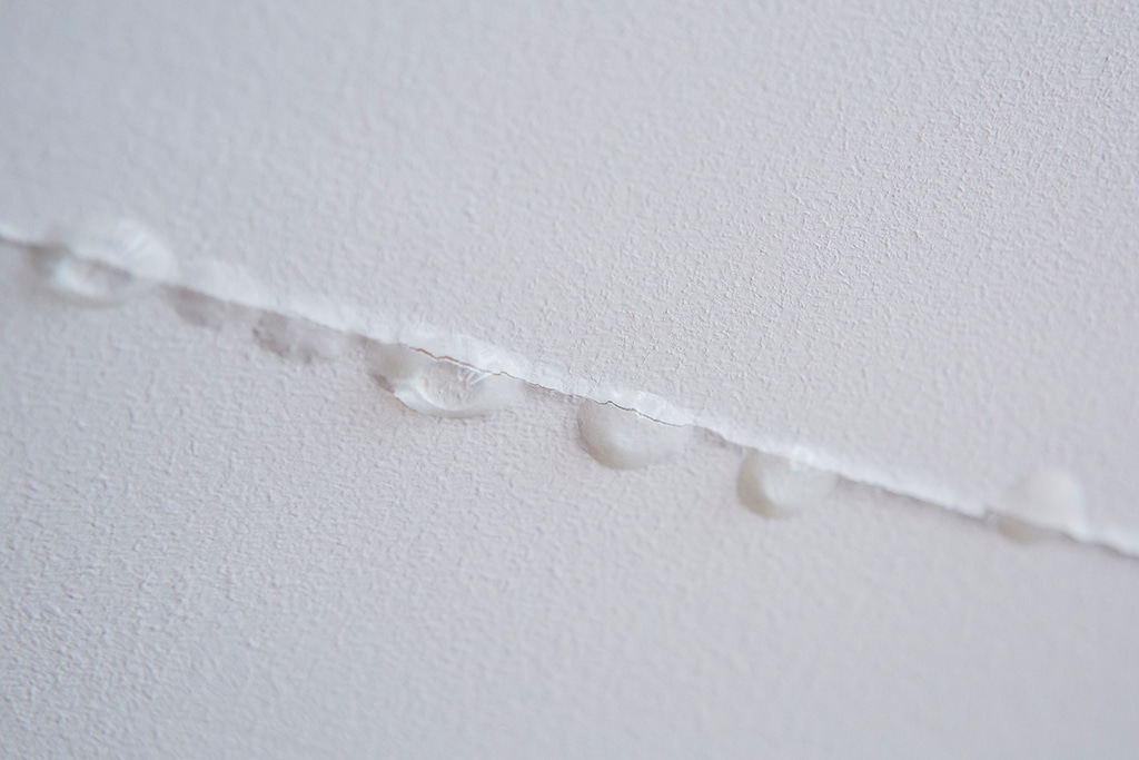 When Should You Call An Emergency Plumber For A Water Leak? | Carrollton, TX