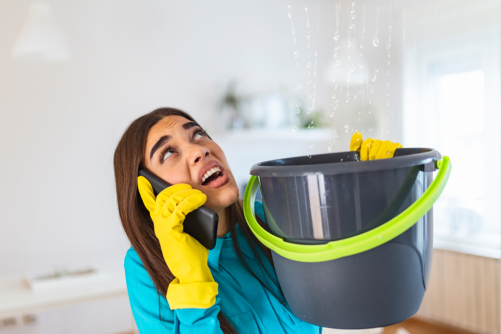 Plumbing Emergencies: What You Need To Look For In An Emergency Plumbing Service | Carrollton, TX
