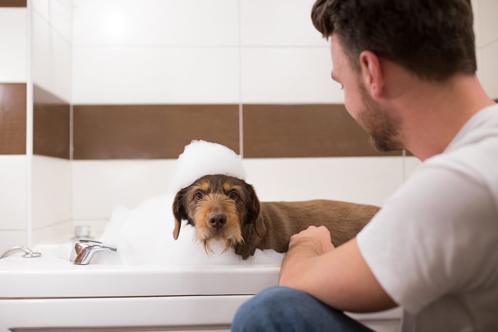 Plumber Tips: The Benefits Of Preventative Maintenance For Your Plumbing | Denton, TX