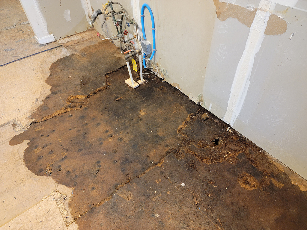Do You Need An Emergency Plumber To Help With Water Damage? | Richardson, TX