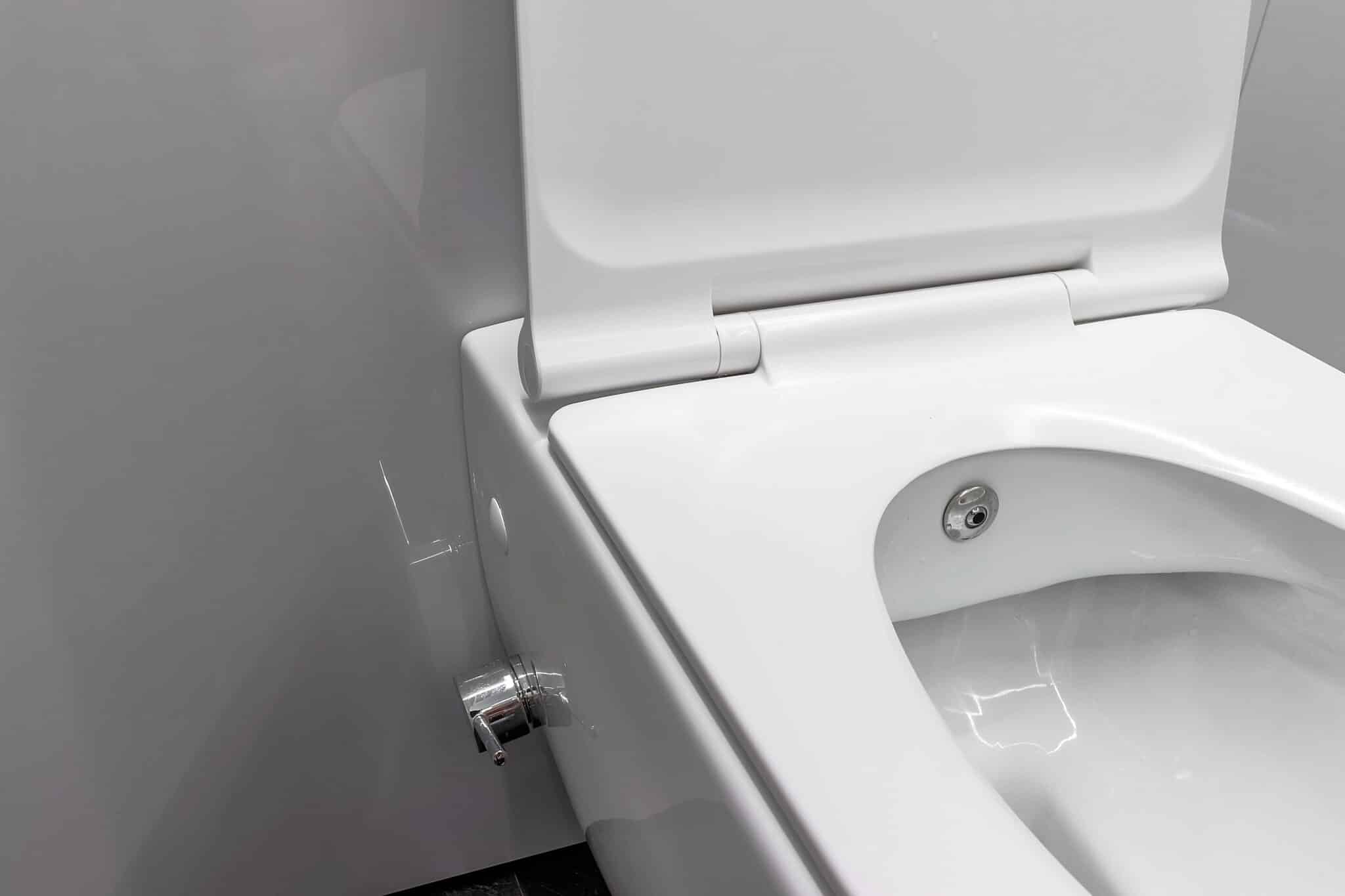 Bidet-style toilet, Smart Toilets.