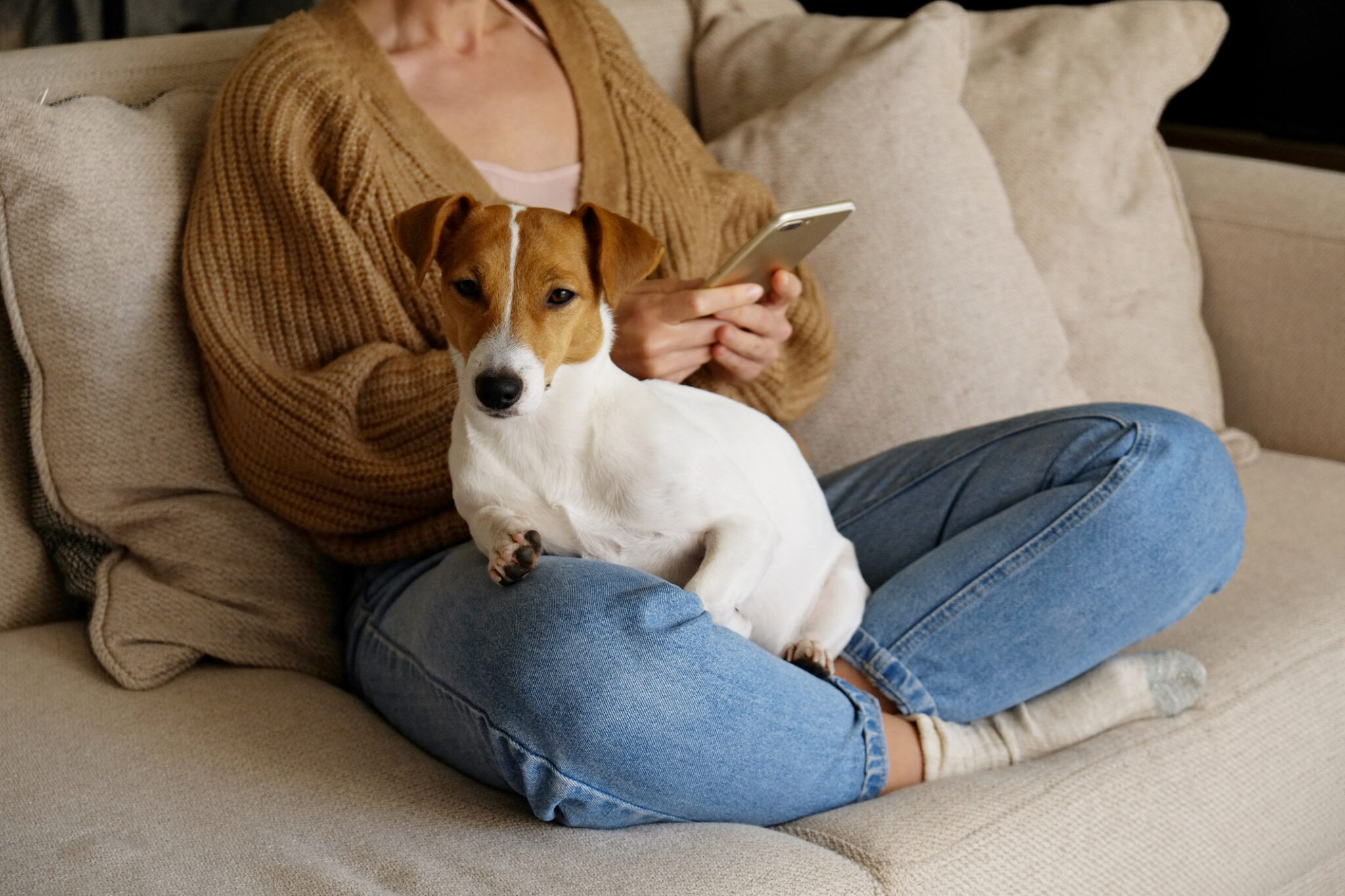 Woman wearing a knitted sweater and mom jeans, holding a dog on her lap while calling a professional for high-tech bathroom installation services.