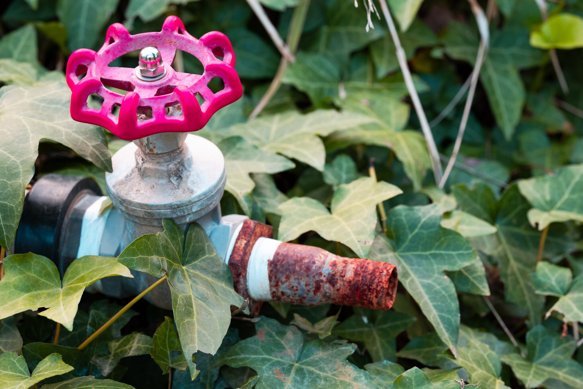 Water shutoff location, water shutoff valves fail.
