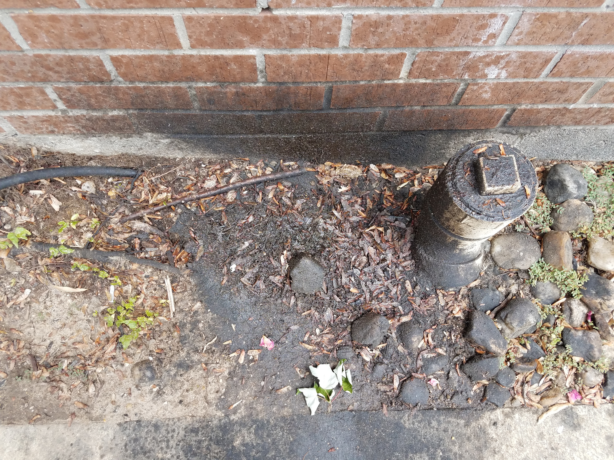 Outdoor drain cleanout on a brick wall.
